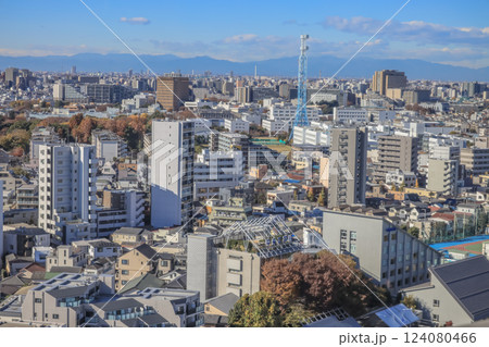 Aerial View of a Dense Urban Landscape, Tokyo Dec 6 2024 Aerial View of a Dense Urban Landscape, Tokyo Dec 6 2024 124080466