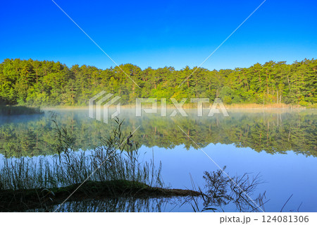 磐梯朝日国立公園　五色沼自然探勝路ハイキングコースより望む弁天沼と西吾妻山の風景 124081306