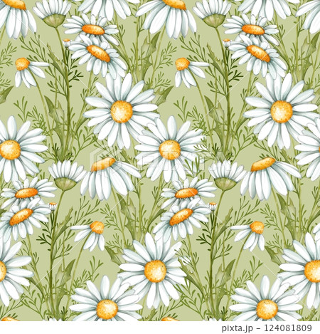 Summer floral background with white daisy flowers, leaves and grass. Floral seamless pattern. Summer floral background with white daisy flowers, leaves and grass. Floral seamless pattern. 124081809