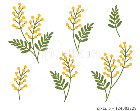 ミモザのイラスト素材セット 124082229
