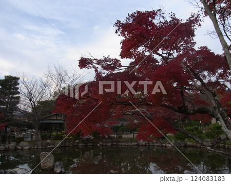 紅葉 124083183