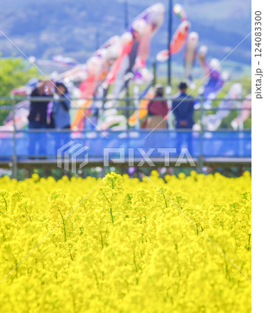 栃木県那須町 ハートフルファーム 菜の花畑 栃木県那須町 ハートフルファーム 菜の花畑 124083300
