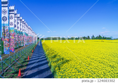 栃木県那須町 ハートフルファーム 菜の花畑 栃木県那須町 ハートフルファーム 菜の花畑 124083302