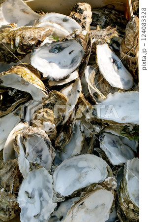 European street food festival. Box filled empty oyster shells discarded after consumption. Evidence popular seafood delicacy outdoor gourmet market setting reflects sustainable waste 124083328