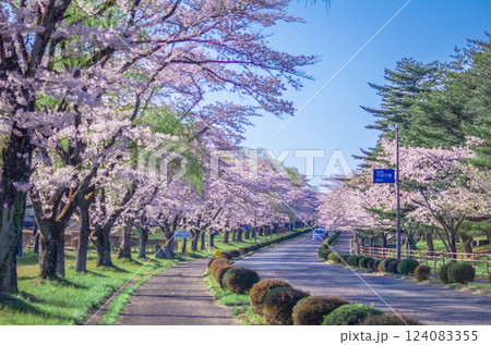 福島県西郷村 桜スポット 124083355