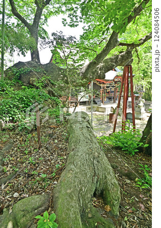 中山道安中宿散歩：熊野神社　安中市安中 124084506