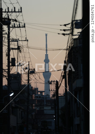 下町からのスカイツリー 124084761