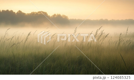 A serene meadow is blanketed in soft mist during the early morning hours while the sun begins to rise. Tall grasses sway gently in the breeze, creating a peaceful atmosphere. 124085325