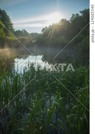 rays of the rising sun shine and a forest lake with a coastal sedge rays of the rising sun shine and a forest lake with a coastal sedge 124085340