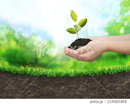 hands planting seedlings into ground 124085868