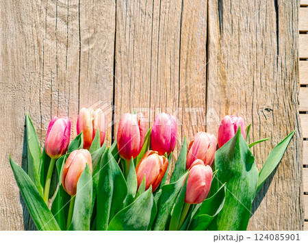 beautiful spring background with red tulips on wood beautiful spring background with red tulips on wood 124085901