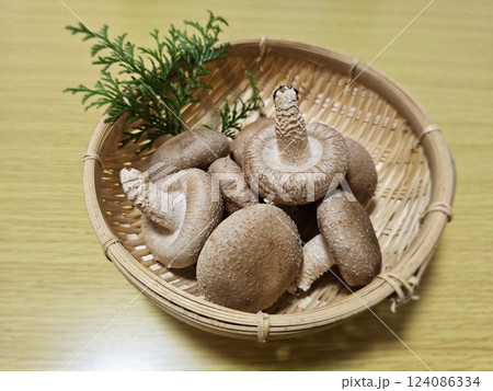 ザルにのせた椎茸 124086334