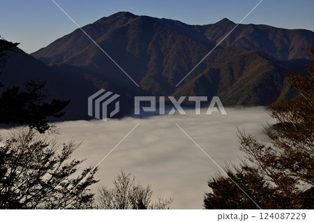 御坂山地のパノラマ台から望む紅葉の天子山地と本栖湖に広がる雲海 御坂山地のパノラマ台から望む紅葉の天子山地と本栖湖に広がる雲海 124087229