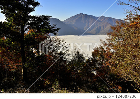 御坂山地　紅葉のパノラマ台から望む天子山地と雲海広がる本栖湖 124087230