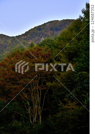 山梨県富士河口湖町根場　夜明け前の御坂山地 124087352