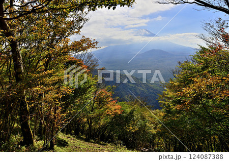 御坂山地の三方分山山頂より 山の紅葉と富士山 御坂山地の三方分山山頂より 山の紅葉と富士山 124087388