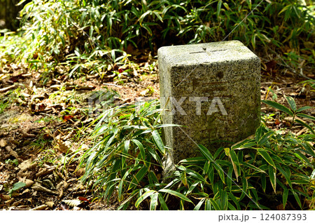 御坂山地　精進山山頂　三等三角点（西ノ入） 124087393