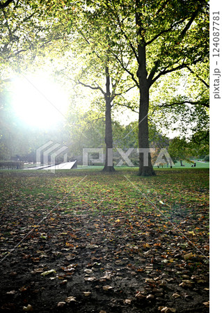 ロンドン・イギリスの公園での木漏れ陽01 124087781