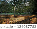 ロンドン・イギリスの公園での木漏れ陽02 124087782