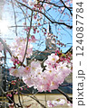 ロンドンの春　桜と風景02 124087784