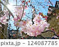 ロンドンの春　桜と風景01 124087785