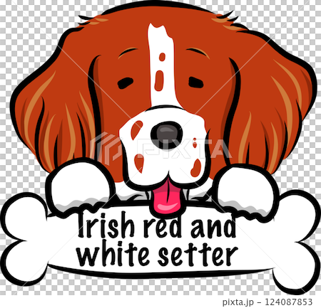 A pop, relaxed and cute hand-drawn style dog illustration of an Irish Red and White Setter that can be used on a website or in illustrations A pop, relaxed and cute hand-drawn style dog illustration of an Irish Red and White Setter that can be used on a website or in illustrations 124087853