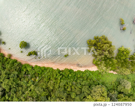 Amazing abundant mangrove forest river,Aerial view of forest trees Rainforest ecosystem and healthy environment background, Texture of green trees forest top down High angle view 124087950