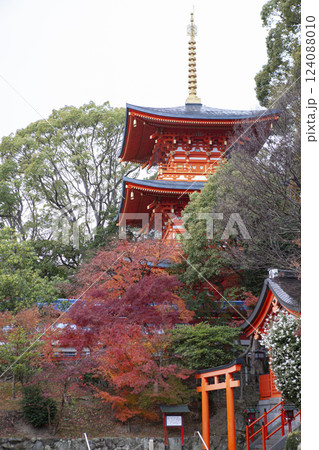 紅葉に包まれた寺院 124088010