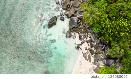 Thick green foliage with palm trees extending to a white sandy beach with gentle waves. Butzel Beach. Seychelles, Mahe. 124088093