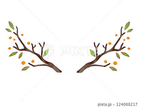 枝（文字枠） 124088217