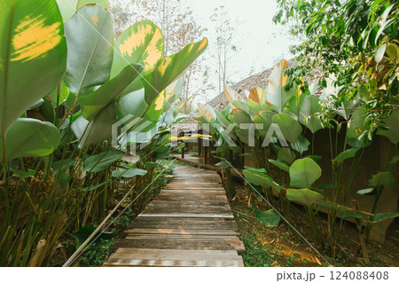 Local wooden house with tropical garden 124088408