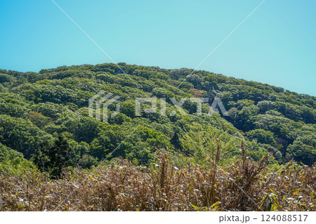 初夏の高清水トレイル　遊歩道から望む池川山方面　岡山県苫田郡鏡野町 124088517