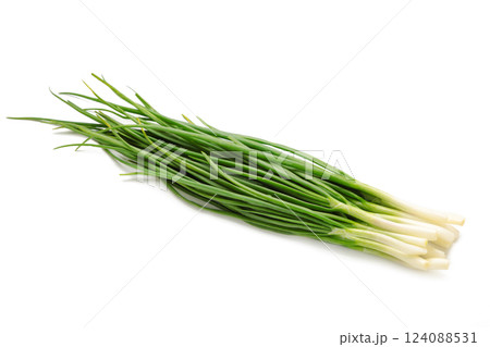Green onion isolated on white background 124088531