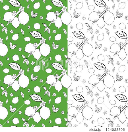Citric lemon branches with leaves and white flowers seamless pattern. Vector graphic line ink black and white illustration on transparent background. Ideal for menu, package, cosmetic, textile, cards Citric lemon branches with leaves and white flowers seamless pattern. Vector graphic line ink black and white illustration on transparent background. Ideal for menu, package, cosmetic, textile, cards 124088806