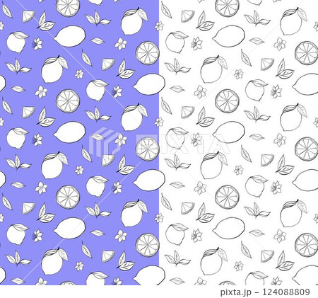 Citric orange lemons whole and cut slices with leaves and white flowers seamless pattern. Vector graphic line ink black and white illustration on transparent background. Ideal for menu, textile Citric orange lemons whole and cut slices with leaves and white flowers seamless pattern. Vector graphic line ink black and white illustration on transparent background. Ideal for menu, textile 124088809