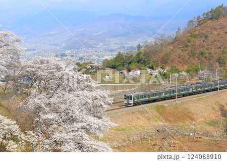 山梨県 甚六桜　～勝沼駅の旧プラットホーム～ 124088910