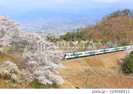 山梨県 甚六桜 ~勝沼駅の旧プラットホーム~ 山梨県 甚六桜 ~勝沼駅の旧プラットホーム~ 124088911
