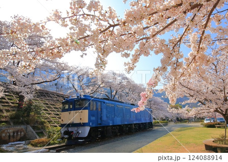 山梨県 甚六桜 ~勝沼駅の旧プラットホーム~ 山梨県 甚六桜 ~勝沼駅の旧プラットホーム~ 124088914