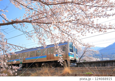 山梨県 甚六桜 ~勝沼駅の旧プラットホーム~ 山梨県 甚六桜 ~勝沼駅の旧プラットホーム~ 124088915