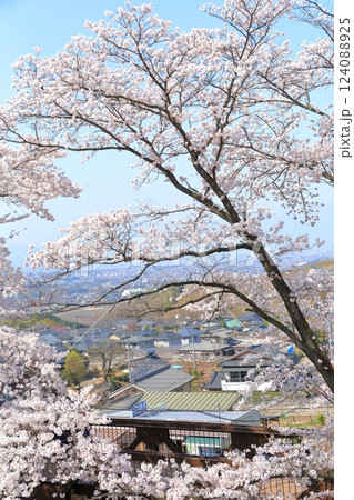 山梨県 甚六桜 ~勝沼駅の旧プラットホーム~ 山梨県 甚六桜 ~勝沼駅の旧プラットホーム~ 124088925