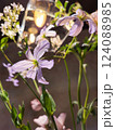 インテリア　花 124088985