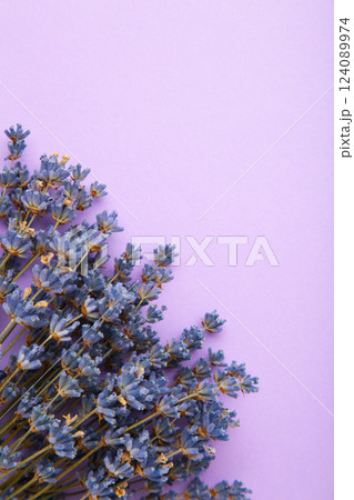 Small bouquet of a dried lavender on purple background. Vertical photo 124089974
