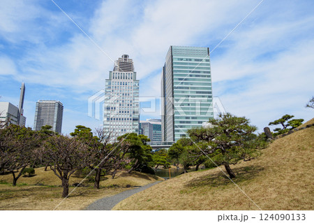 旧芝離宮恩賜庭園の早春 124090133