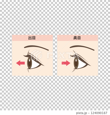 出目と奥目の違いイラスト 124090187
