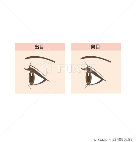 出目と奥目の違いイラスト 124090188