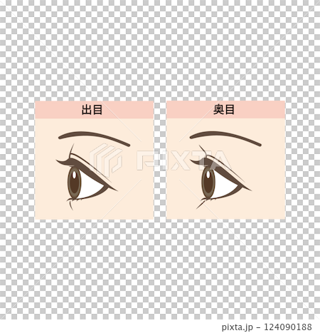 出目と奥目の違いイラスト 124090188