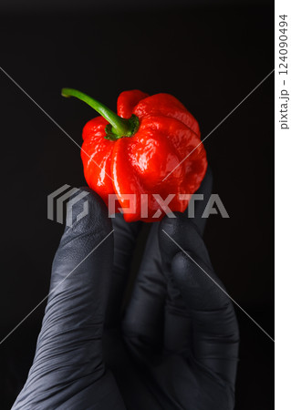 Single red habanero pepper in hand in a black protective glove Single red habanero pepper in hand in a black protective glove 124090494