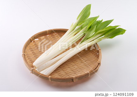 山菜　うるい　イメージ 124091109