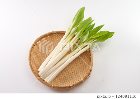 山菜　うるい　イメージ 124091110