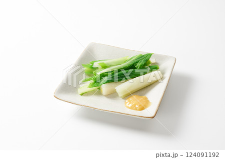 山菜 うるい 料理イメージ 山菜 うるい 料理イメージ 124091192